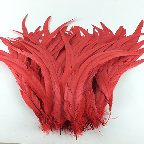 Sowder Red Rooster Coque Tail Feathers 13-16Inch Lengh Pack Of 50 #TOP1