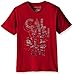 Calvin Klein Little Boys Gridiron Vneck Tee Shirt, Red, Small/4