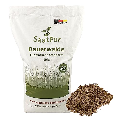 SaatPur Dauerweide für trockene Standorte 10 kg für 3.000 m Hoher Futterwert für strukturreiches Futter dichte Narbe geeignet für stark beanspruchte Pferdeweiden Neusaat und Nachsaat