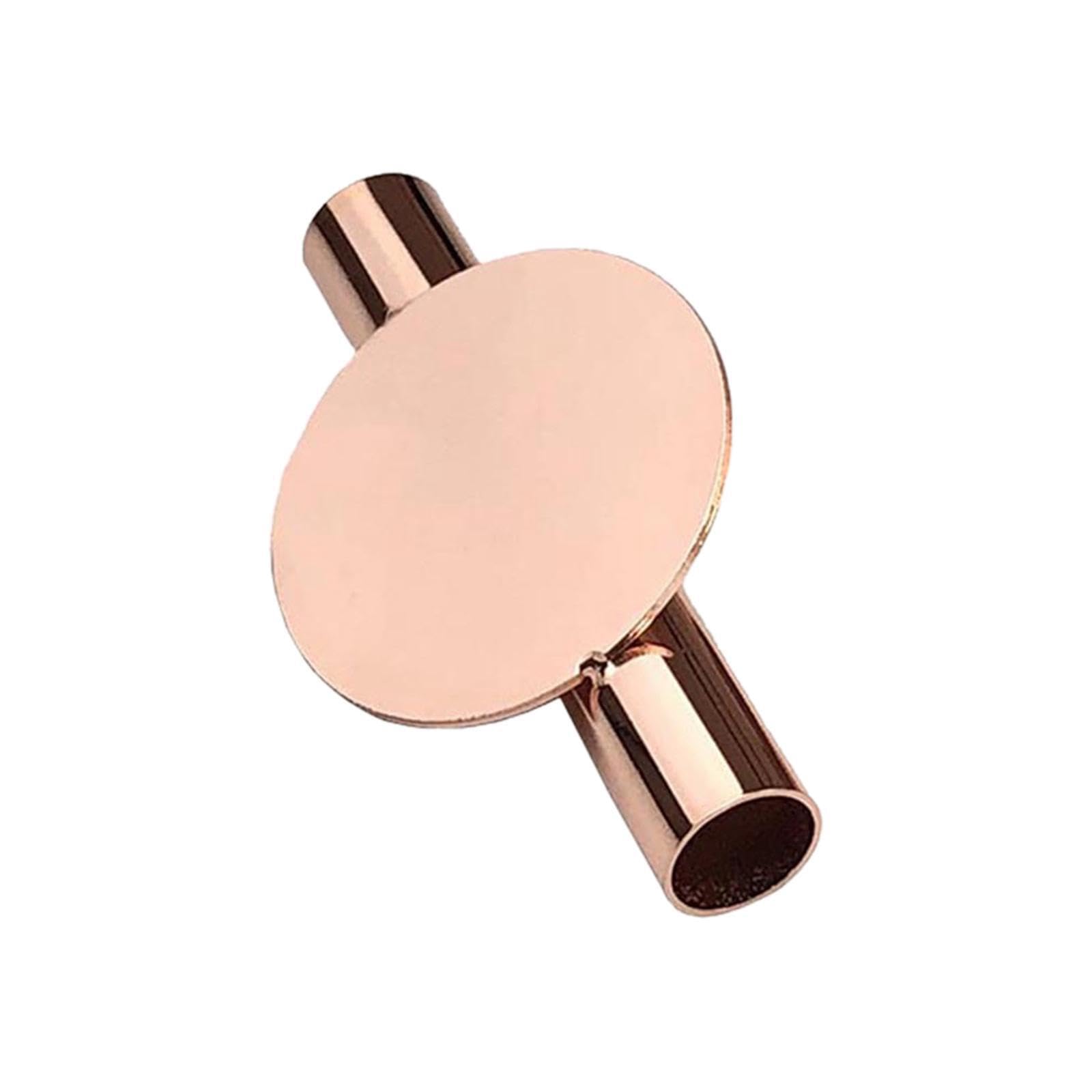 TWISAXC Classic Metal Vases Decoration Simple Wall Mounted Flower Tube For Traditional Decor Wall Mounted Vase Tube Modern, rose gold round