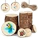 400 Dischi In Legno Naturali Per Fai Da Te – 20 Mm Diametro, 2,5 Mm Spessore, Non Trattati, Per Decorazioni, Scrapbooking E Artigianato