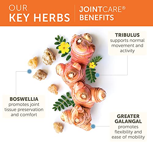 Himalaya JointCare with Boswellia, Joint Supplement for Men and Women, 1200 mg, 120 Capsules, 1 Month Supply - Image 4