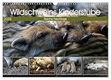 Wildschweins Kinderstube - Freche Frischlinge (Wandkalender 2026 DIN A3 quer), CALVENDO Monatskalender: Fressen, spielen, schlafen. Frischlinge langweilen sich nie. (CALVENDO Tiere)