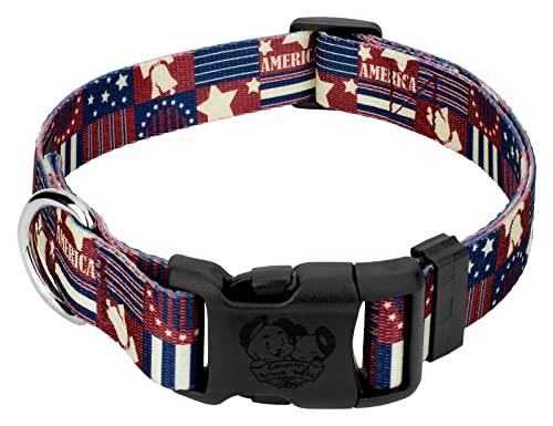 Country Brook Petz - Spirit of '76 Everyday Dog Collar - Americana Collection Featuring Patriotic Designs (1 Inch, Medium) by Country Brook Design - Used condition - US$12.76