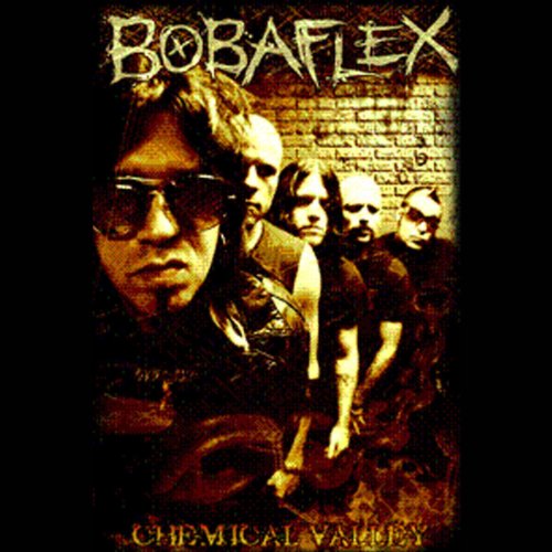 Bobaflex