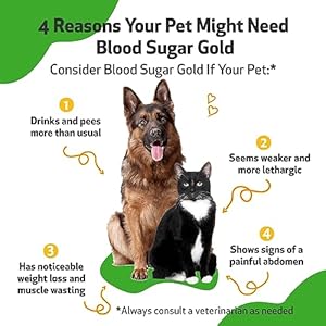 Pet Wellbeing – Blood Sugar Gold Value Size for Dogs & Cats – Natural Support for Healthy Blood Sugar Levels in Your Pet with Diabetes – 4 oz (118ml)