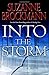 Into the Storm: A Novel (Troubleshooters Book 10)