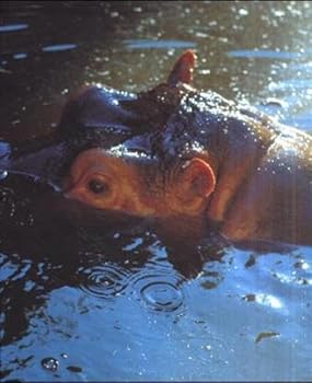 Paperback Sichtbare Welt Book