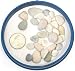 Bonsai Jack Light Pastel Top Dressing, 1 Quart