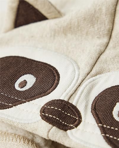 Image of Gymboree Boys' And Toddler Boys Long Sleeve Hoodie Sweatshirt