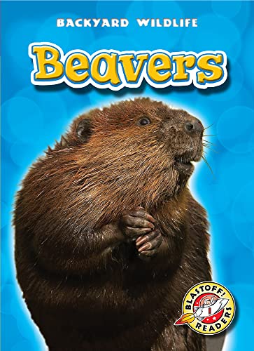 Beavers (Blastoff Readers. Level 1) view 2