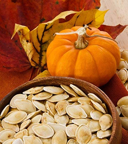 See full amazon price history chart for Golden Hills Farm Organic Seeds - Yellow Pumpkin 50 seeds Golden Hills Farm Organic Seeds - Yellow Pumpkin 50 seeds (B07N5L2NGR) Amazon Price History, Amazon Price Tracker