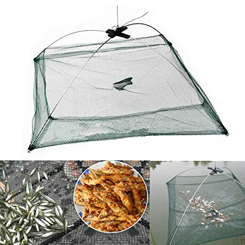 NEWMIND Isca de pesca dobrável rede armadilha molho gaiola peixe minnow Crawdad armadilha de malha c