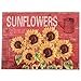 Produktbild Barnyard Designs Six Sunflowers Retro Vintage Blech Bar Schild Country Home Decor 25,4 x 33 cm