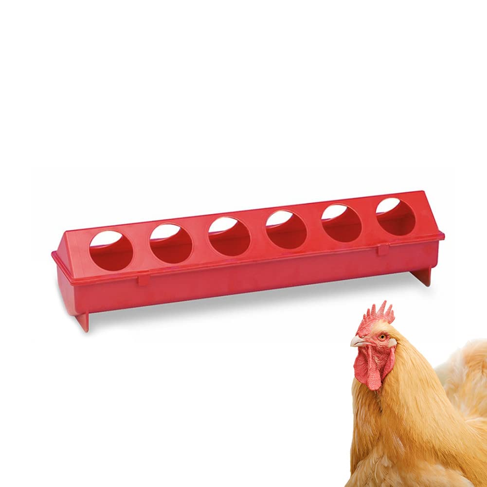 FINCA CASAREJO Comedero Bebedero 50 cm para Gallinas, Faisanes y Aves en General