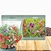 Outsidepride Impatiens Balsam - 500 Seeds