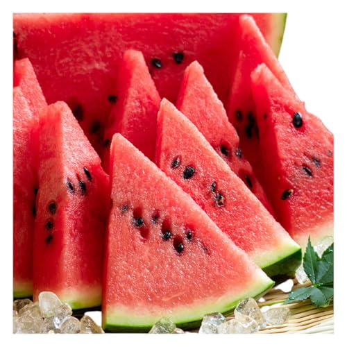 [2026年8月より順次発送]ふらの山部の超大玉絶品スイカ『マドンナスイカ』 3L〜4L 1玉(坂口農産)