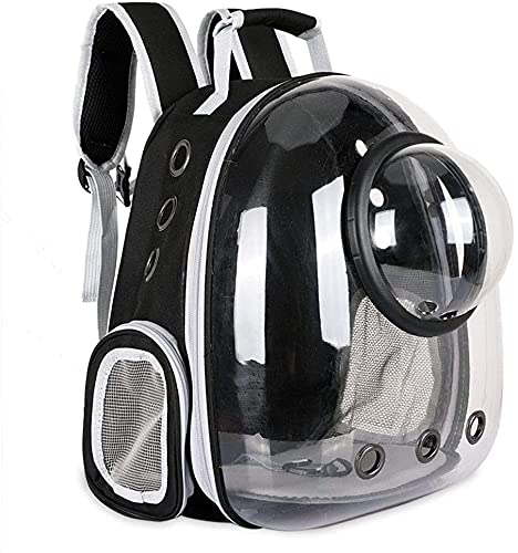 Lista De Compra De Maleta Transportadoras Para Gato 20 Mas Vendidos.
