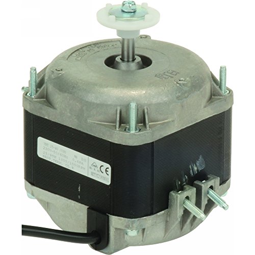 Elco 25WMULTIFIT 25W Multi-Fit Motor