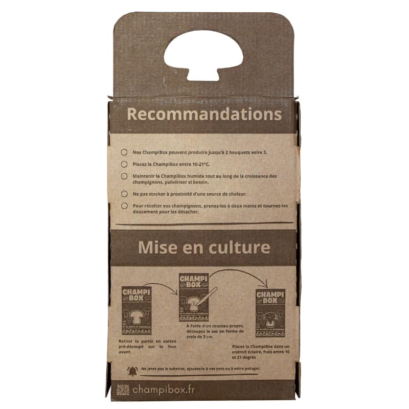 Kit de Culture de Champignons Pleurotes Gris Champibox™ (Pleurotus ostreatus) - Pleurotes Made in France - Gourmand et Éducatif - Idée Cadeau Originale et Naturelle pour Tous - Facile à Utiliser