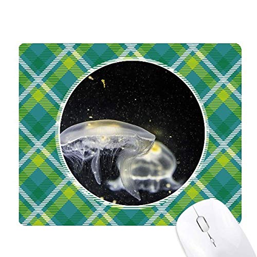 CmNQȊw͎R̎ʐ^ ΂̊iq̃sNZS̃}EXpbh