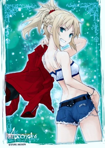 Fate / Apocrypha Rouge ensky Sleeve de protection de cartes format standard No.272