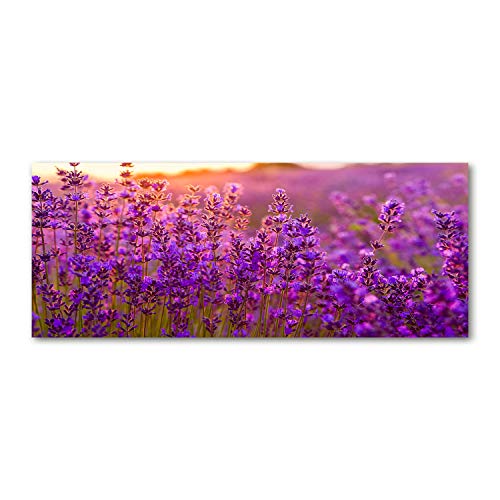 Crédence en verre trempé 125x50 cm motif fleurs de lavande violettes