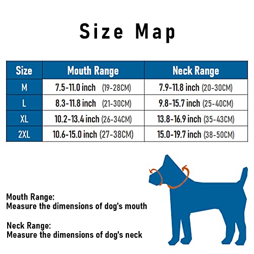 Charmsong Dog Head Collar No Pull - Stops Pets From Pulling And Choking On Walks - Padded Dog Head Halter For Small Medium And Large Dog Black Dog Head Harness L #TOP2