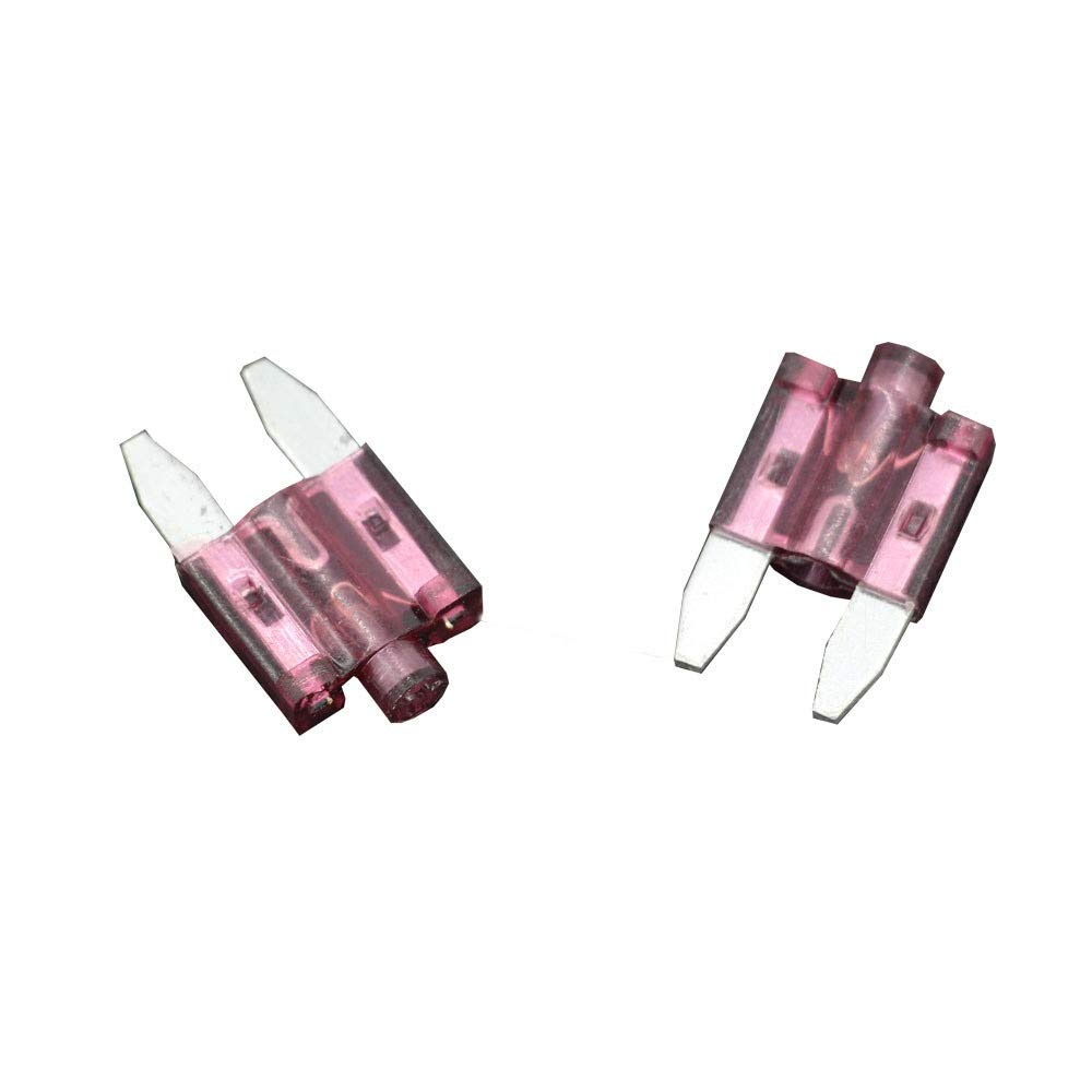 Amazon.com: Miniature Fuses 10 PCS 40A Small Size Auto Fuse Inserts Car ...
