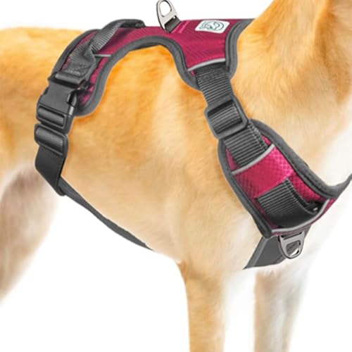 Embark Adventure Xl Dog Harness No-Pull Dog Harnesses For Extra Large, Medium And Small Dogs. 2 Leash Clips, Front & Back With Control Handle, Adjustable Pink Dog Vest, Soft & Padded For Comfort #TOP4