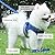 Puppy Harness Small Dog Harness Lead Sets Vest Chest Strap Breathable Mesh Soft Fabric for Puppy Small Dog Outdoor Walking Training No Pull Harness (S, BLUE)