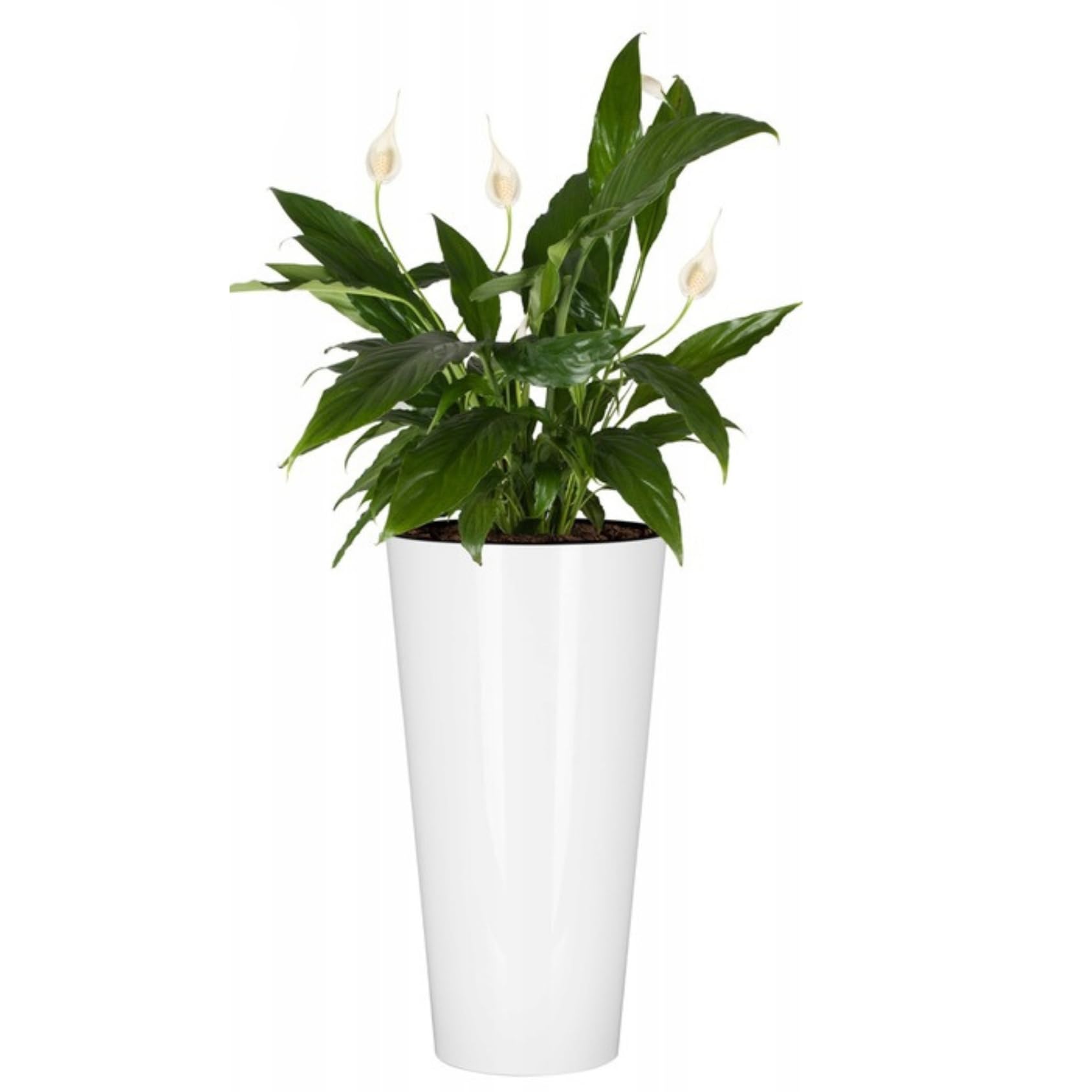 B2c White Planter Plant Pot Flowerpot Glossy Tubus Outdoor Garden Balcony Indoor Modern Tall Shiny Modern (H 28.6Cm X D 15Cm)