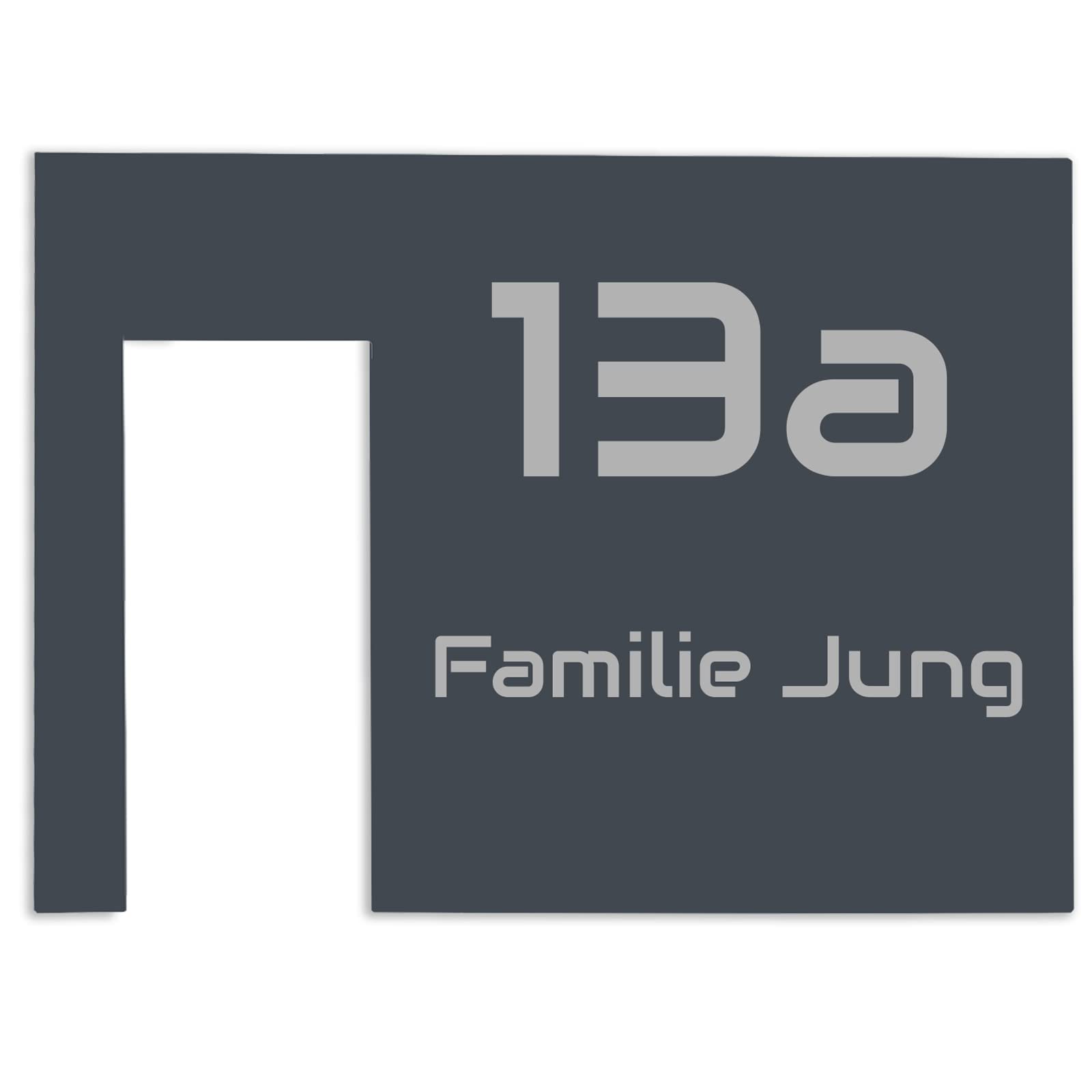 Jung Edelstahl Design Modernes V2A Edelstahl Türschild anthrazit optimiert für Ring Videotürklingel Pro Kabel Klingelschild 20x15 cm Haustürschild mit Hausnummer und Namen individuell personalisierbar