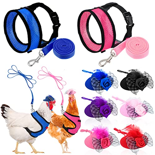 8 pieces chicken leash chicken harness and hat for hens funny chicken accessories adjustable duck harness and leash hat with elastic chin strap for hens duck goose parrot small pets 1 8 pieces chicken leash chicken harness and hat for hens funny chicken accessories adjustable duck harness and leash hat with elastic chin strap for hens duck goose parrot small pets