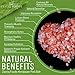 Zestiq Foods Himalayan Pink Salt – 100% Natural, Unprocessed & Kosher, Fine Grain, 5 lb Jar – Rich in 84 Minerals, Perfect for Cooking, Seasoning & Shaker Use,