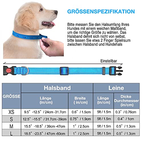 haapaw reflektierendes Hundehalsband gepolstert mit weichem Neopren atmungsaktiv einstellbar Nylon Hundehalsbänder für kleine mittlere große Hunde