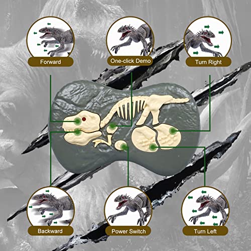 Remote Control Dinosaur Toys For Kids Educational Rc Toys,Rechargeable Robot Dinosaur Light & Roaring Simulation Velociraptor,Dinosaur Toys For Boys Girls Age 3 4 5 6 7 8-12 Birthday Gifts Gray #TOP3