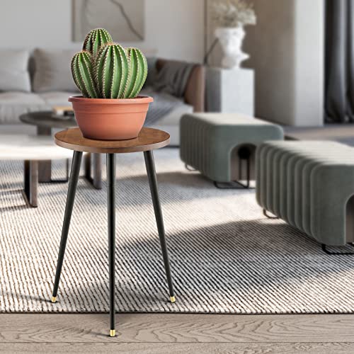 Kinnary Tall Plant Stand Indoor, Mid Century Wood Plant Stand Plant Table For Flower Pots, Heavy Duty Metal Plant Holder, Modern Home Decor Small Round Side End Table (11.8"X20") #TOP5