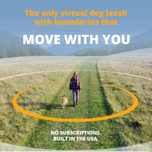 Specifications of Virtual Dog Leash