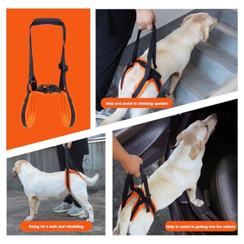 Verstellbares Mobilitätsgeschirr – Hebegurt Für Hunde Mit Weichem Griff, Unterstützende Gehhilfe, Bequemer Sicherheitsgurt | Hundeaufzüge Für Ältere, Verletzte, Behinderte Haustiere, Treppen, Auto, Hy
