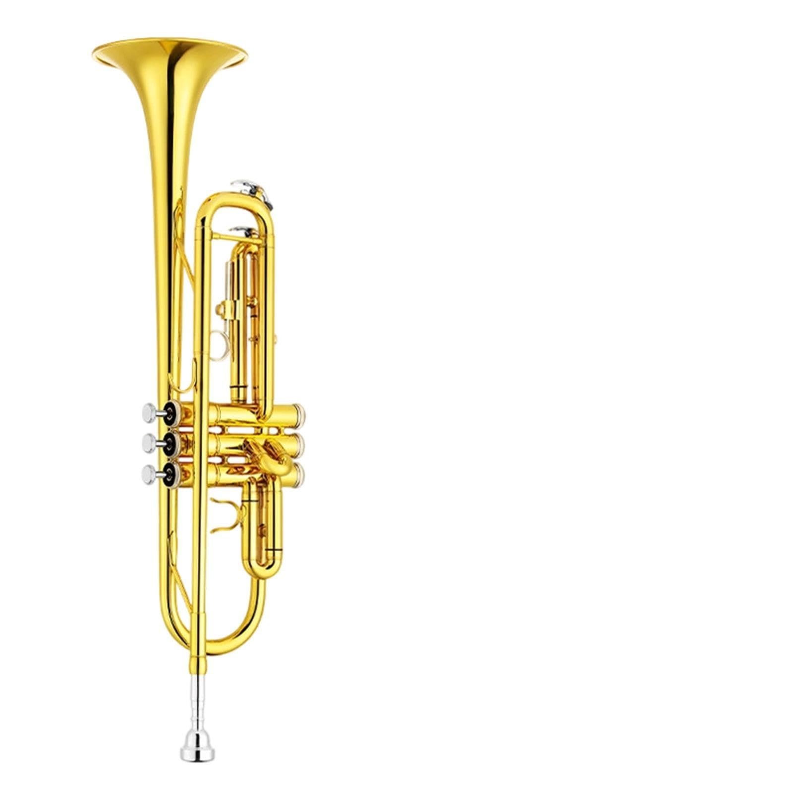 Professional Trumpet Trompeta en si bemol para principiantes