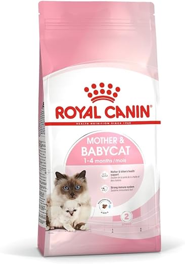 Royal Canin Mother & Babycat Food, 400 Grams, Dry Food, Provides Complete Support for Mother & Babycat Health, Supports Br...
