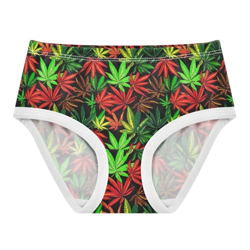 Joisal Toddlers Underwear Floral 2t Cotton Panties for Girl Colorful Briefs Kids Undies Leaves Red Green