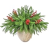 18PCS Artificial Norfolk Pine Branches Set, 13PCS 18 Inch Real Touch Christmas Faux Fake Greenery Evergreen Pine Stems Picks with 5PCS Red Berry Stems for Vases DIY Craft Garland Table Xmas Home Decor