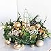 KI Store Champagne Christmas Balls 34pcs 2.36-Inch Christmas Tree Decoration Ornaments for Xmas Tree Holiday Wreath Garland Decor Ornaments Hooks Included