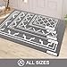 Buganda Indoor Door Mat, Dirt-Resistant and Absorbent Doormat, Anti-Slip, Low Profile Floor Mats for Inside Entryway, Front, and Back Door Entrance (32x20 Inches, Grey)
