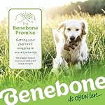 Benebone Medium 4-Pack Dog Toys for Aggressive Chewers – Durable Dog Bones, Made in USA – Dog Toys for Medium Dogs Under 60 lbs - Image 7