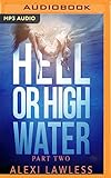 Hell or High Water (Complicated Creatures Trilogy)