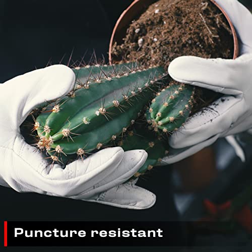 NoCry Leather Gardening Gloves with Improved Long, Adjustable Gauntlet Cuffs; Puncture Resistant with Reinforced Palms and Fingertips; Perfect for Rose Pruning, Size Medium, Grey NoCry Leather Gardening Gloves with Improved Long, Adjustable Gauntlet Cuffs; Puncture Resistant with Reinforced Palms and Fingertips; Perfect for Rose Pruning, Size Medium, Grey