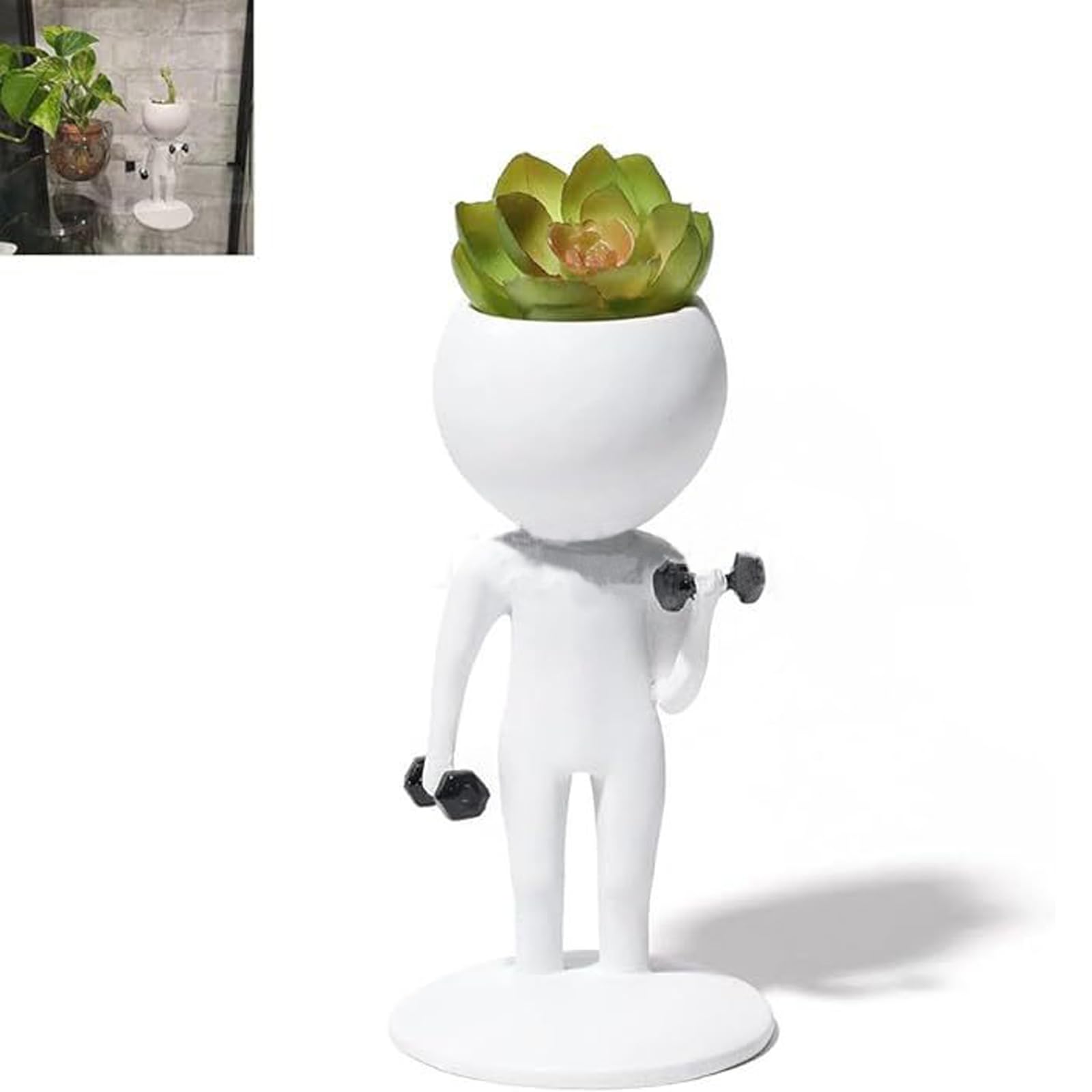 Amazon.co.jp: BluFied 植木鉢 多肉植物鉢 サボテン鉢 可愛い 面白い